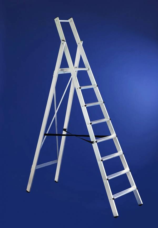 SCALA APRIBILE AD UN TRONCO DI SALITA