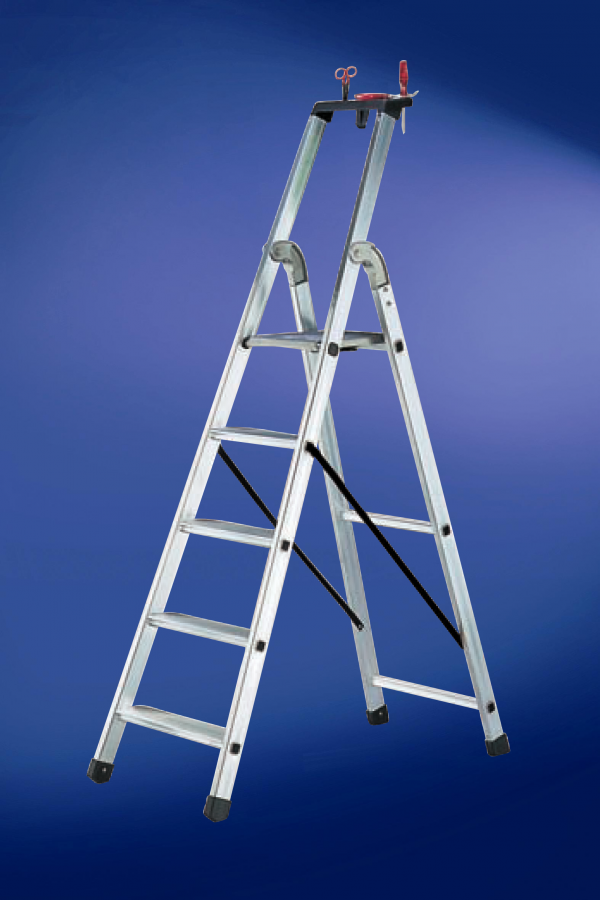 SCALA APRIBILE AD UN TRONCO DI SALITA
